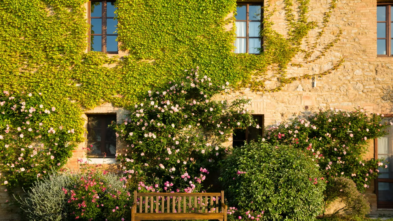 Borgo Finocchieto | Tuscany