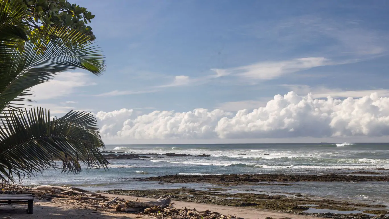 Pasha | Santa Teresa