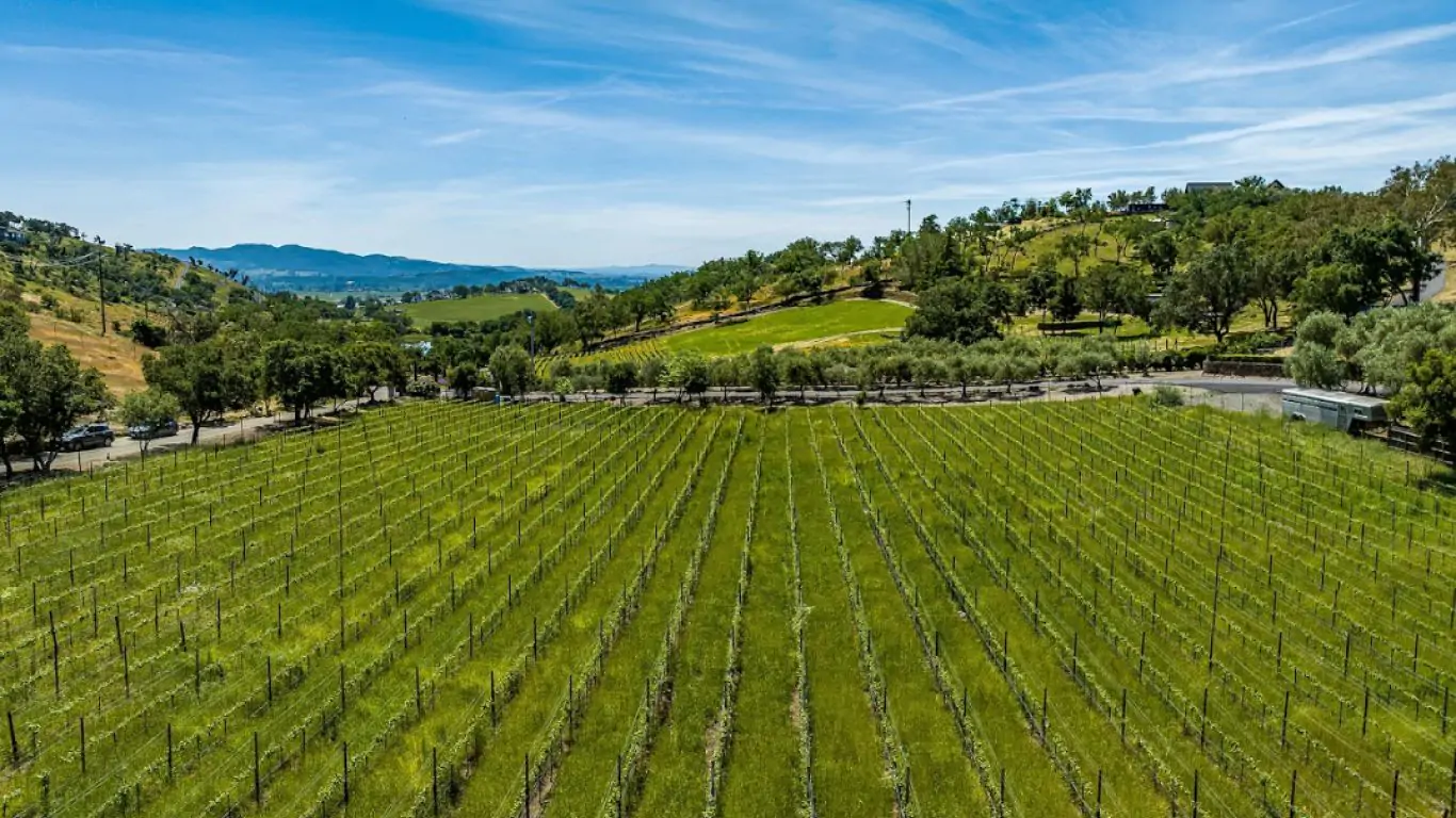 Villa Dani | Napa Sonoma