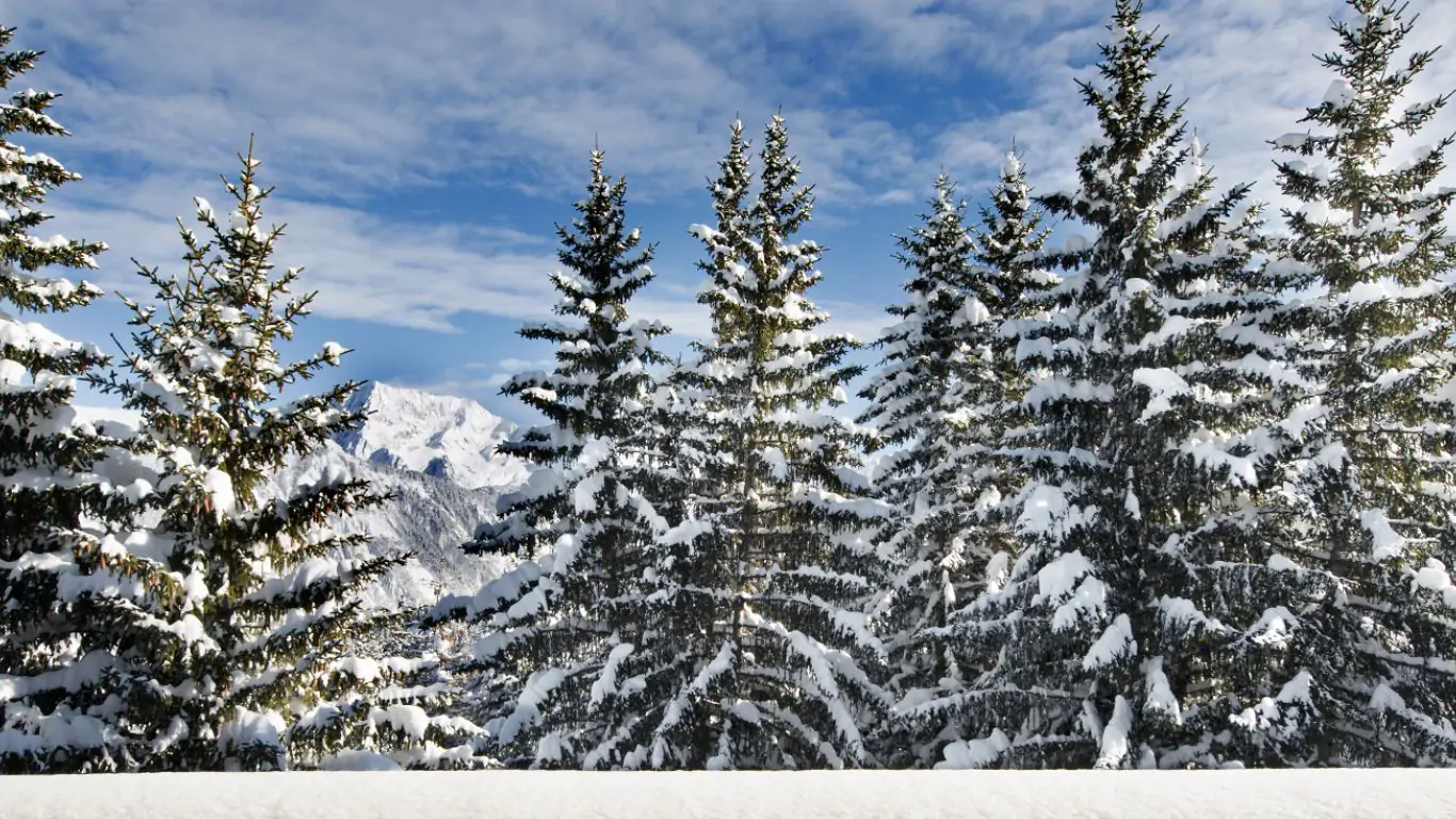Chalet Coquelicot | Courchevel