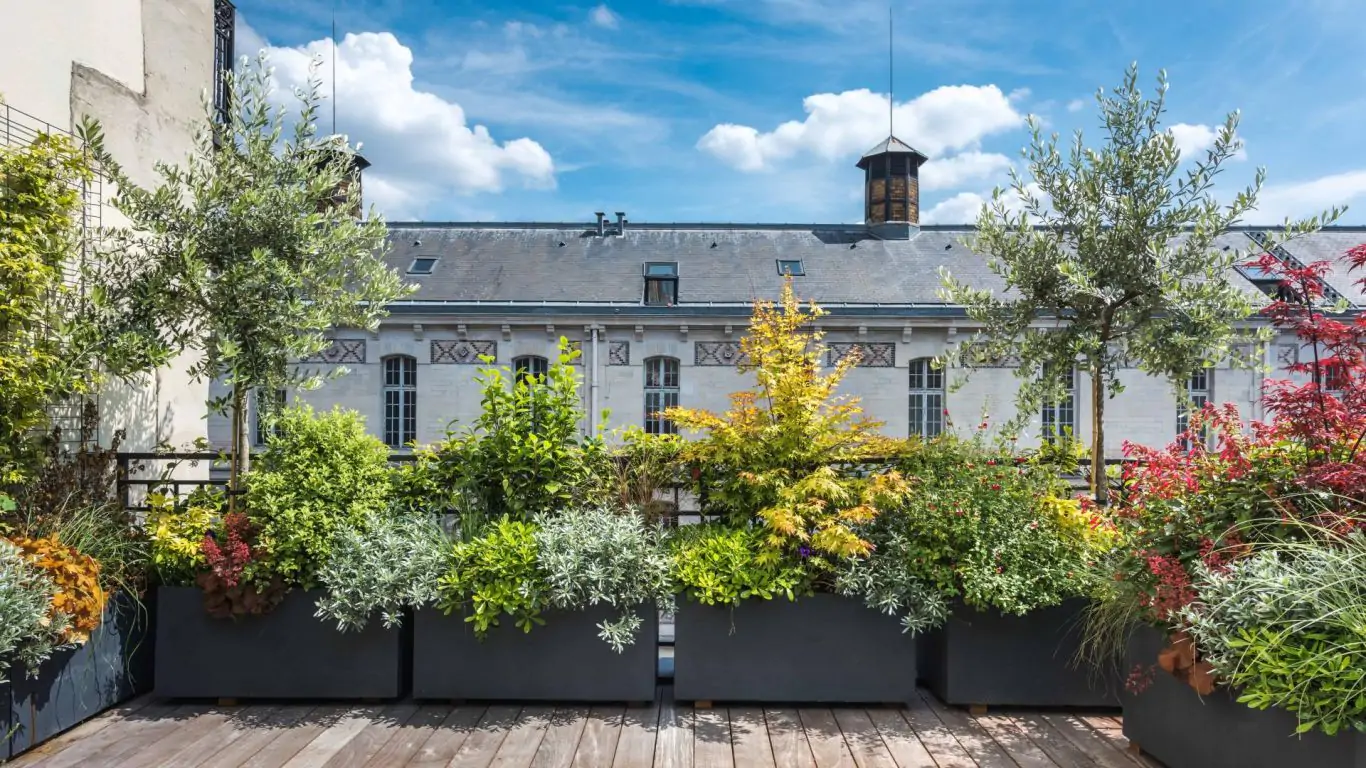 Maison Montespan | Paris
