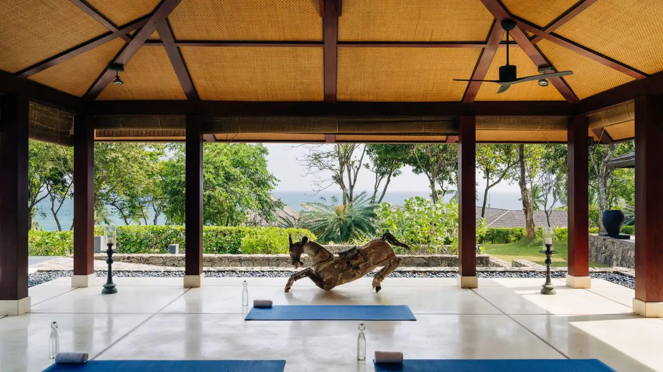ANI Sri Lanka | Sri Lanka
