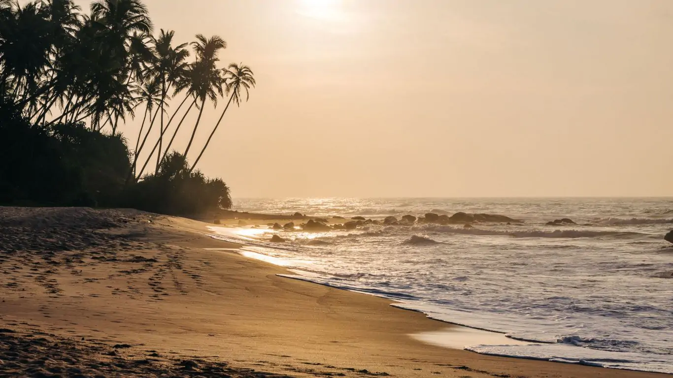 ANI Sri Lanka | Sri Lanka