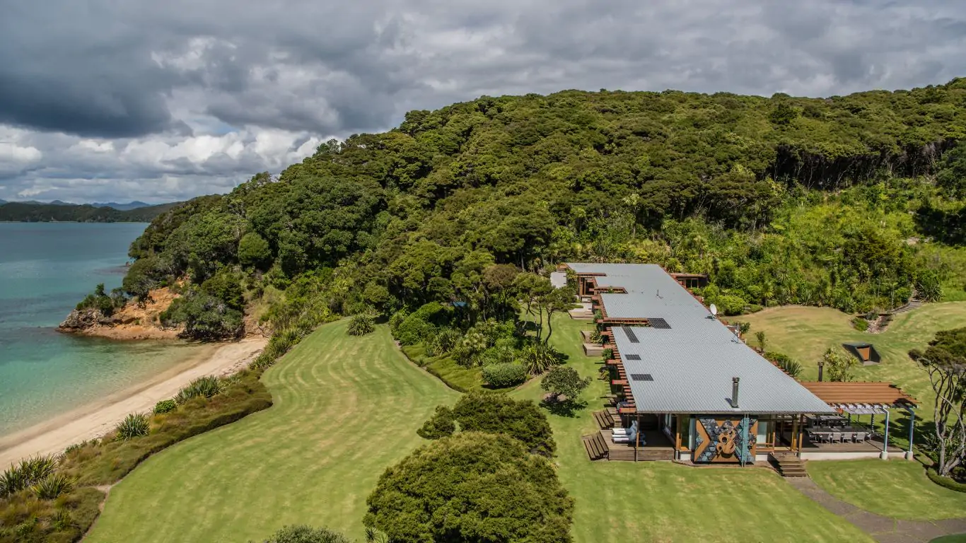 Kauri Cove | New Zealand