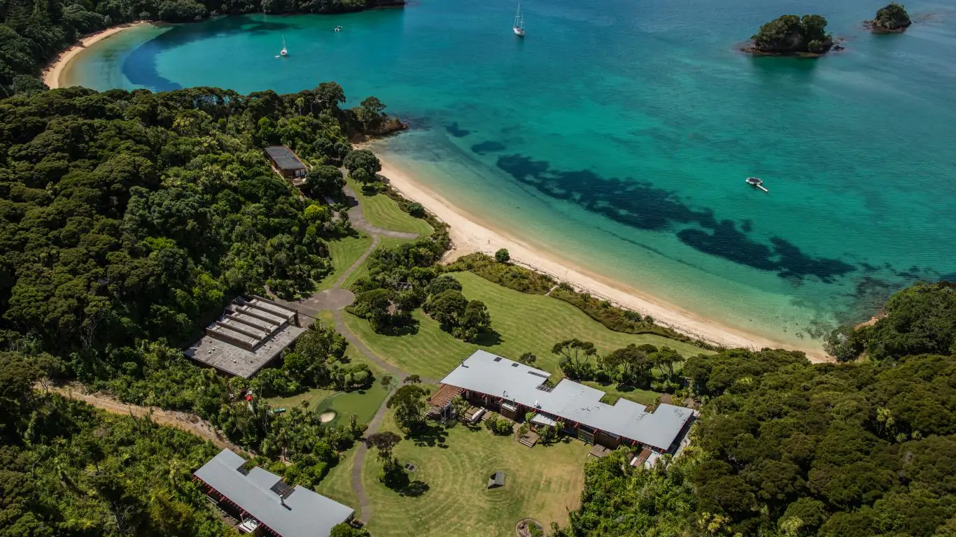 Kauri Cove | New Zealand