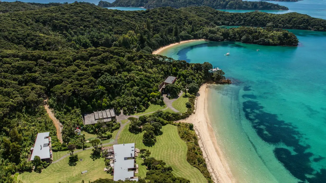 Kauri Cove | New Zealand