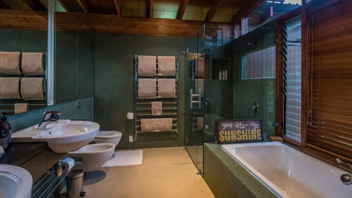 Kauri Cove | New Zealand