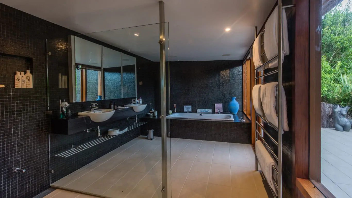 Kauri Cove | New Zealand