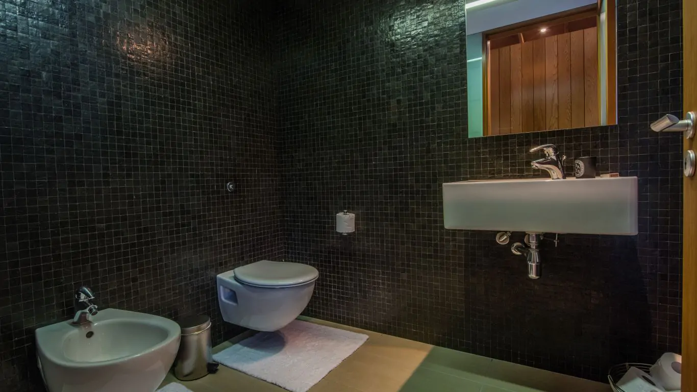 Kauri Cove | New Zealand