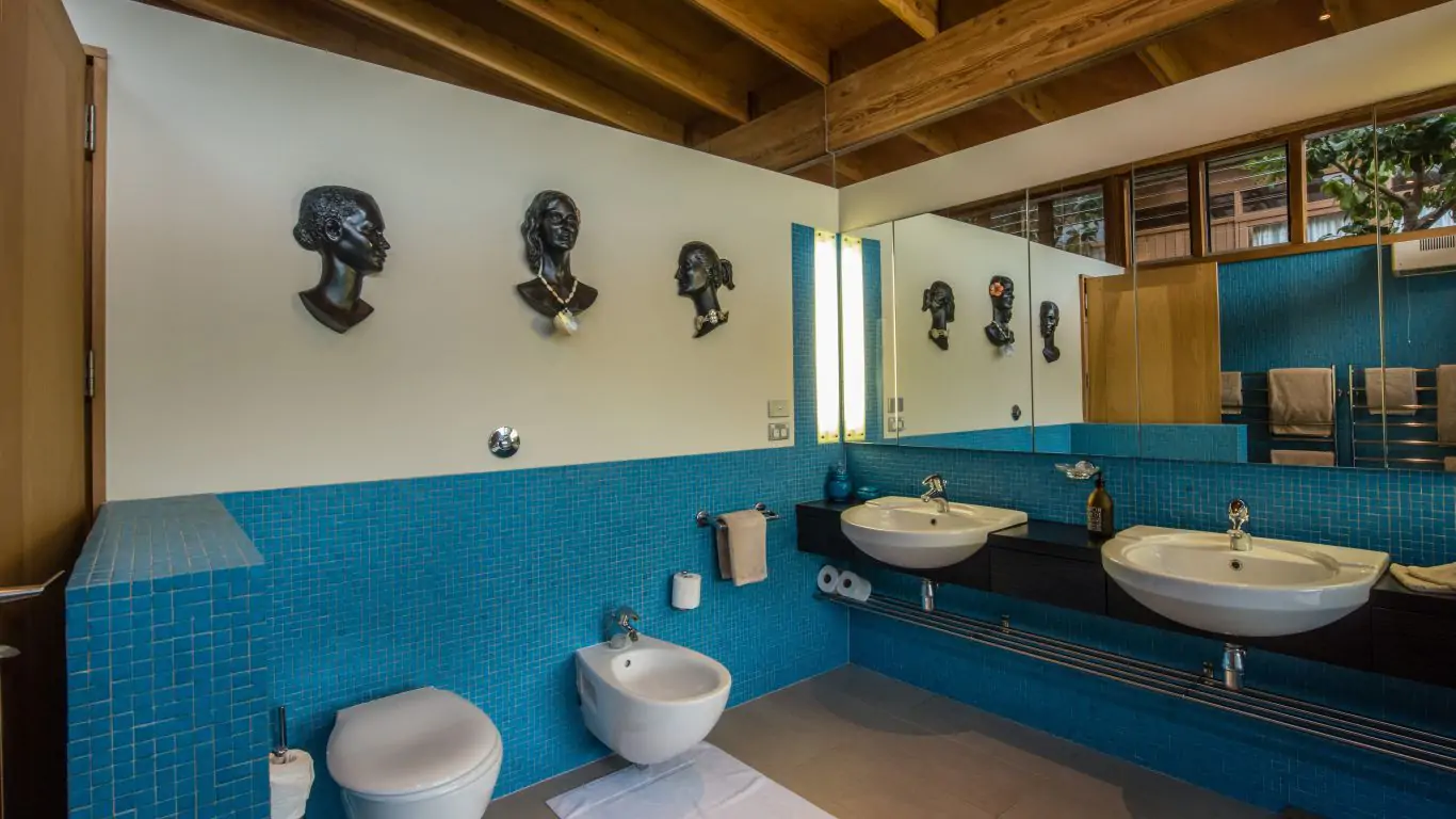 Kauri Cove | New Zealand