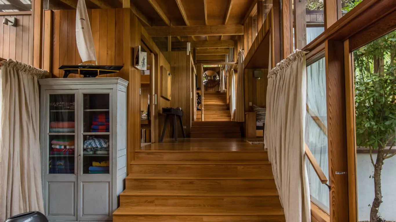 Kauri Cove | New Zealand