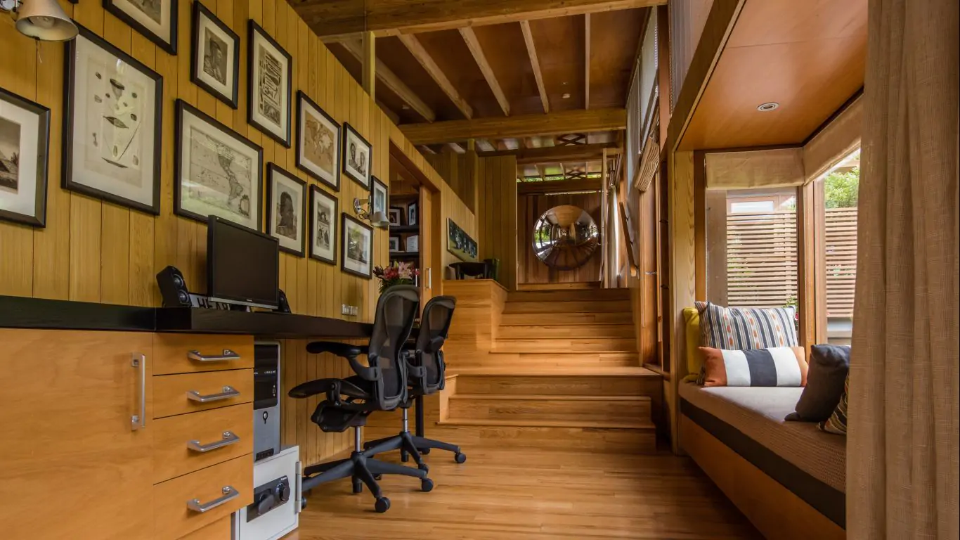 Kauri Cove | New Zealand