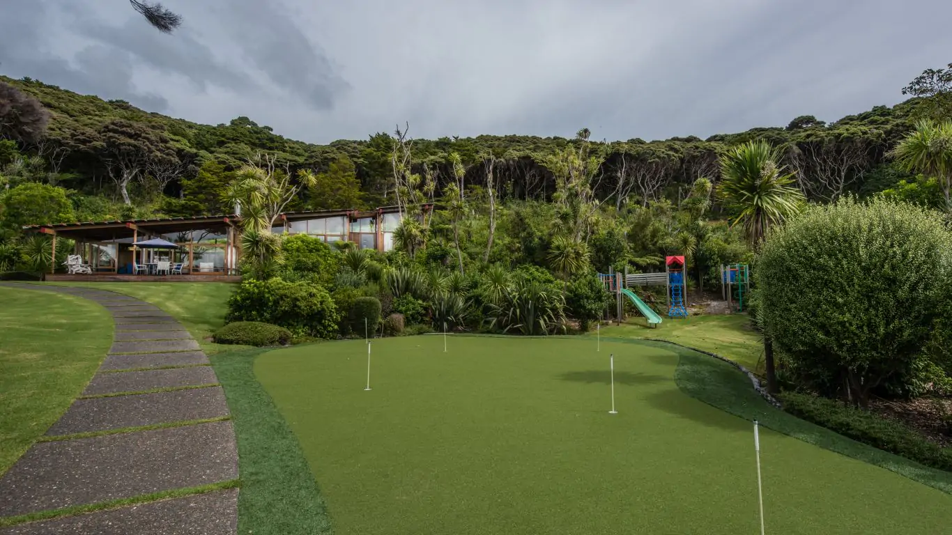 Kauri Cove | New Zealand