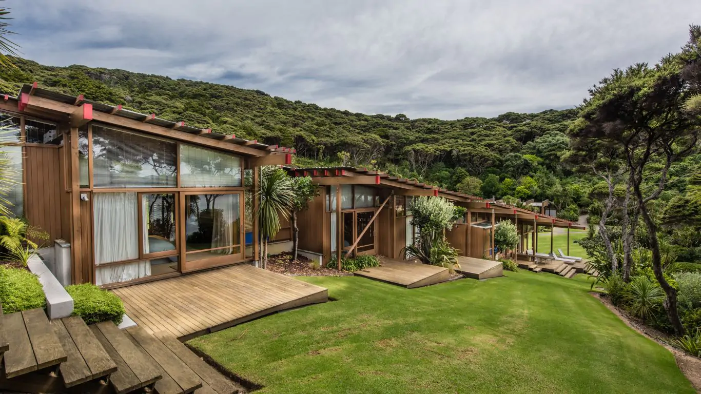 Kauri Cove | New Zealand