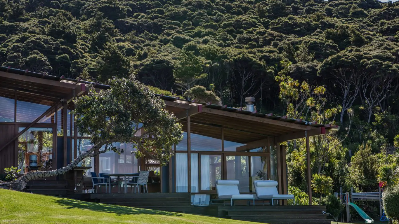 Kauri Cove | New Zealand