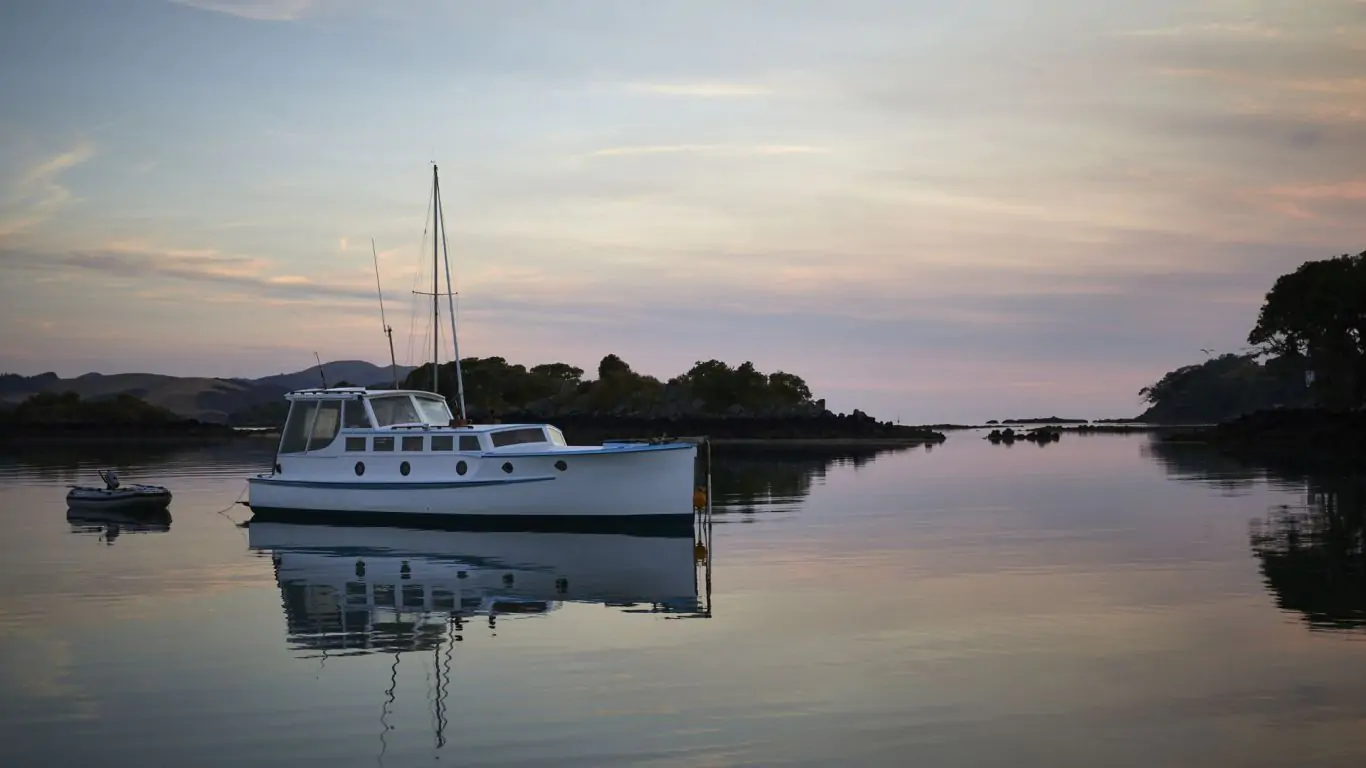 Somewhere on Inlet Road | New Zealand
