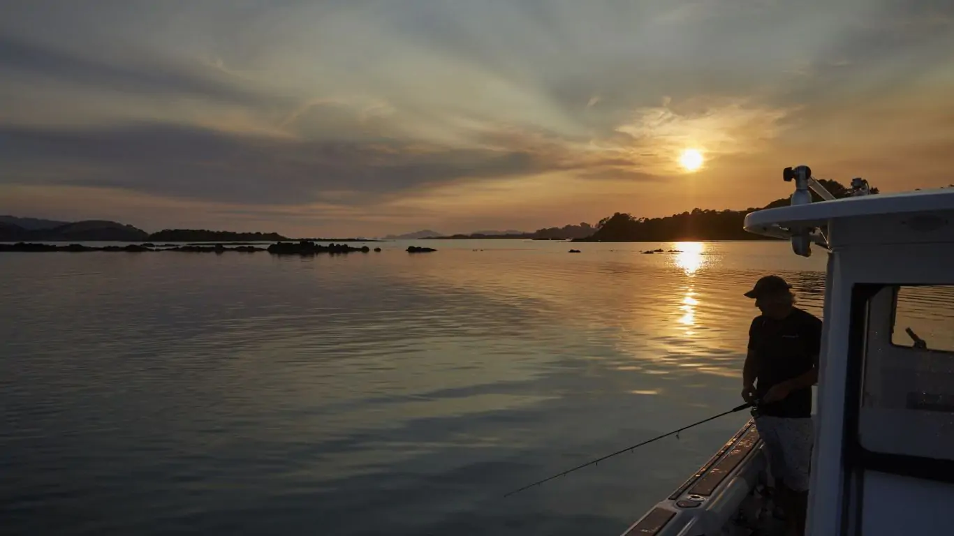 Somewhere on Inlet Road | New Zealand