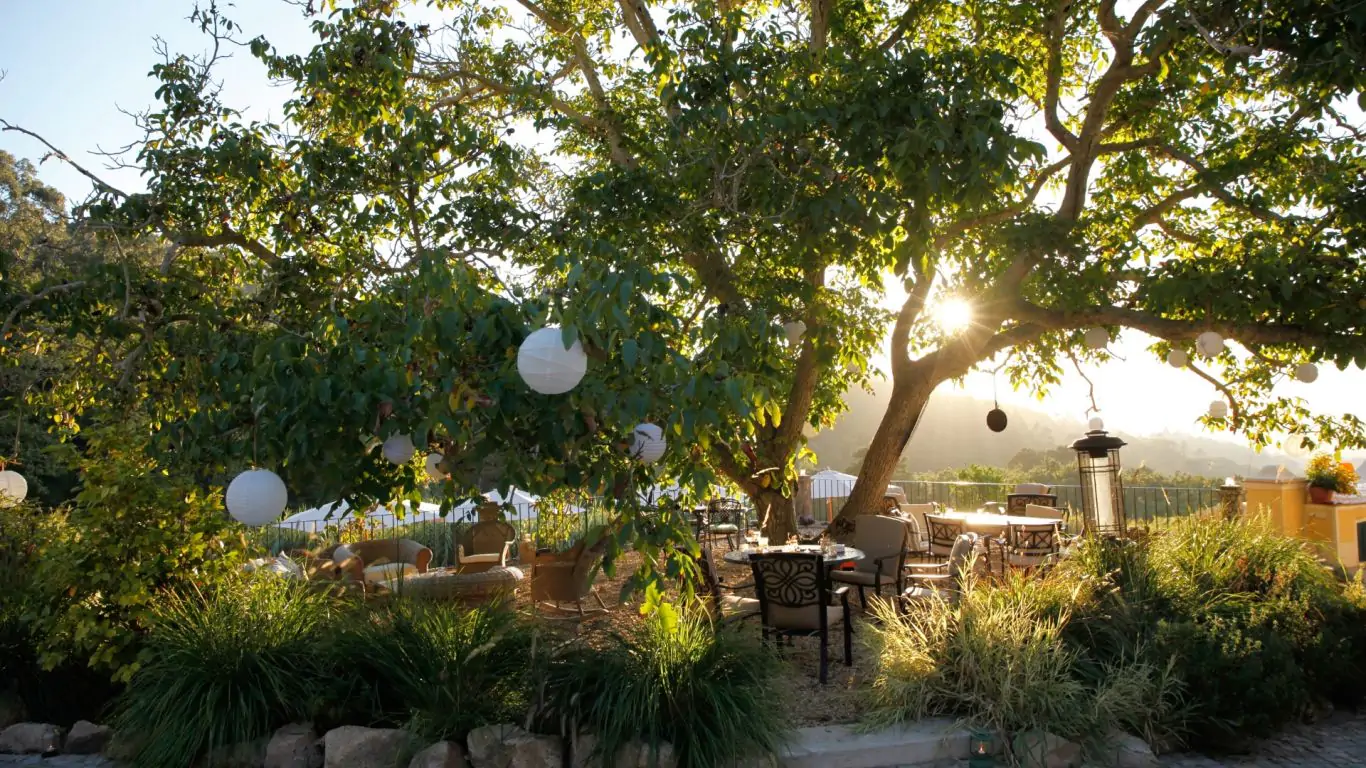 Quinta da Bella Vista | Lisbon