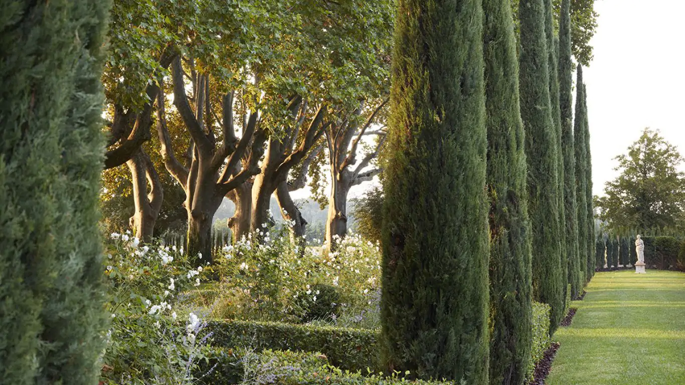Chateau Avignon | Provence