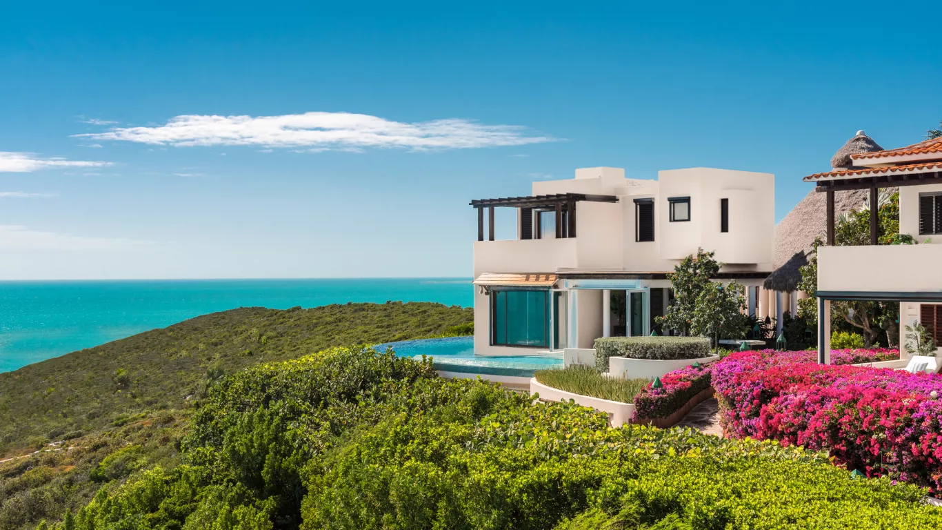 Bajacu | Turks and Caicos