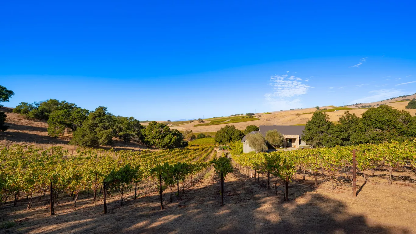 Villa Olivia | Napa Sonoma