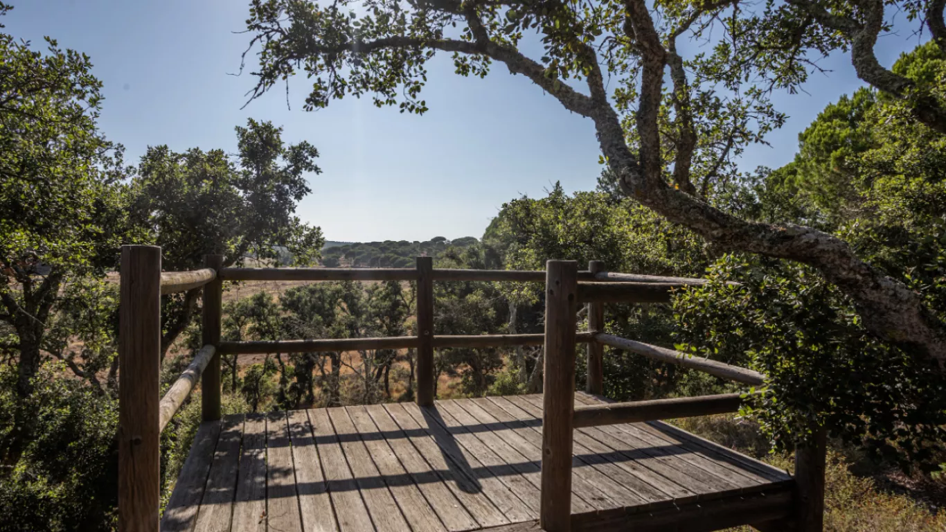 Villa Benedita | Rest of Portugal