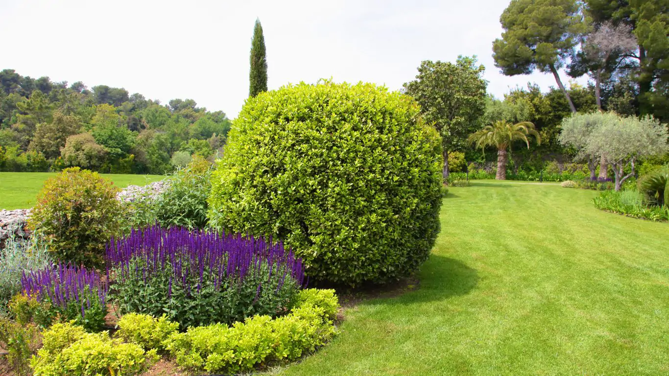 Villa Domaine des Lys | Cannes