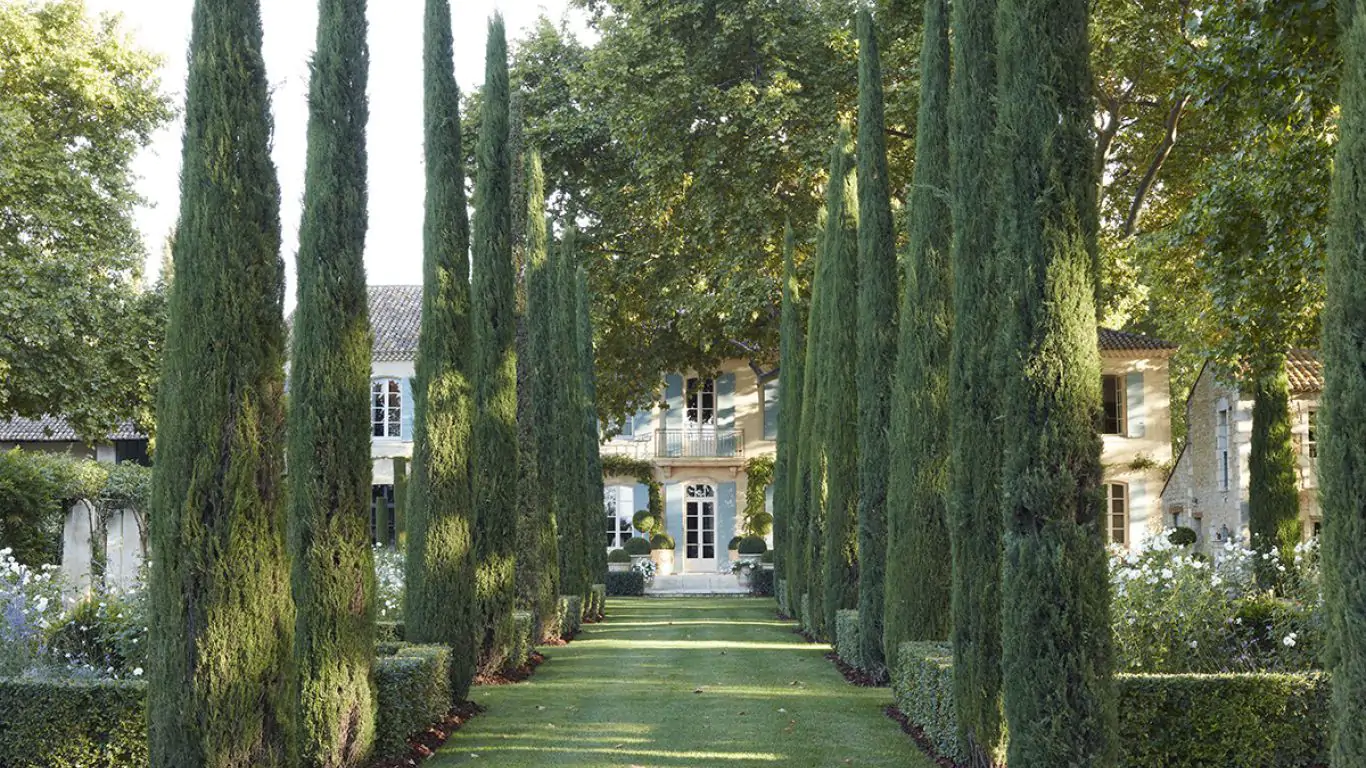 Chateau Avignon | Provence