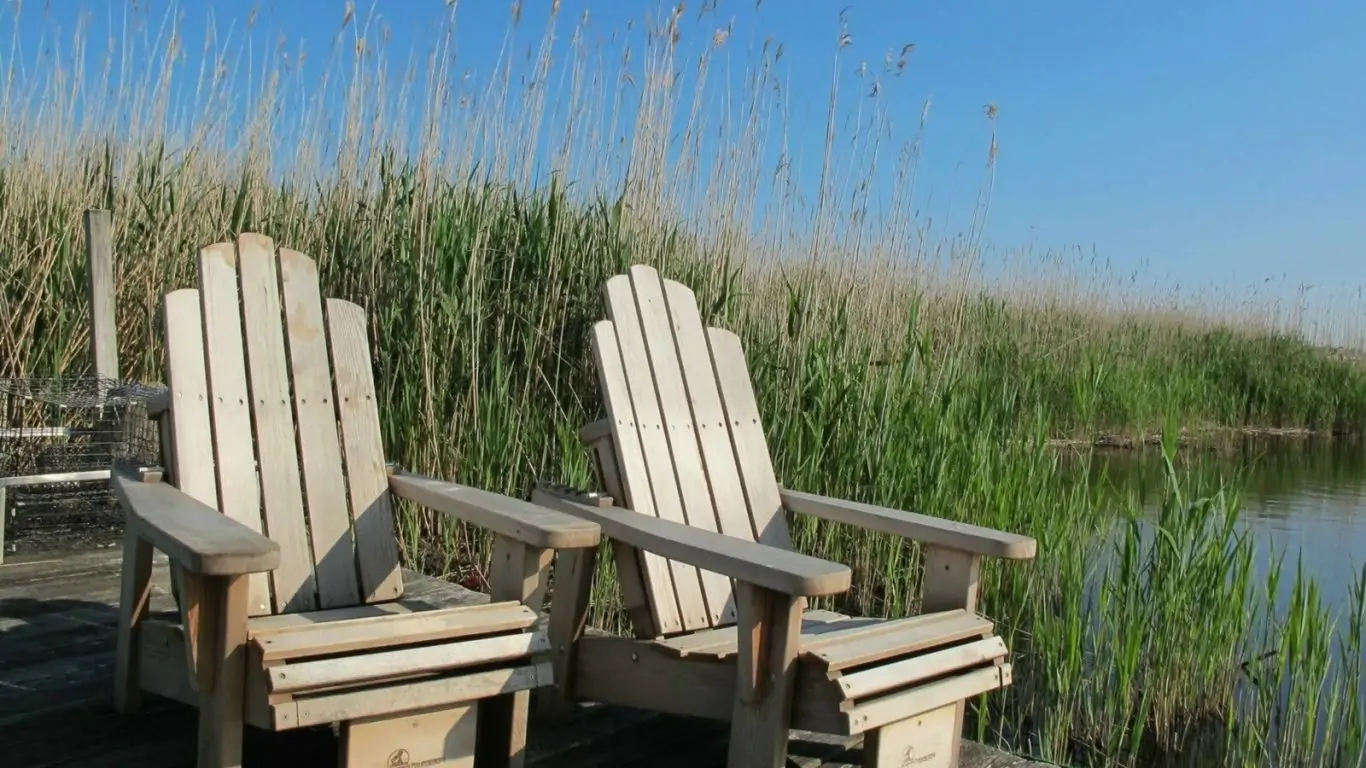 Villa Swans Nest | Hamptons