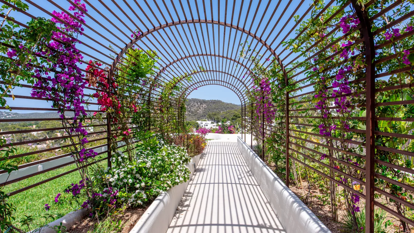 Can Moli | Ibiza