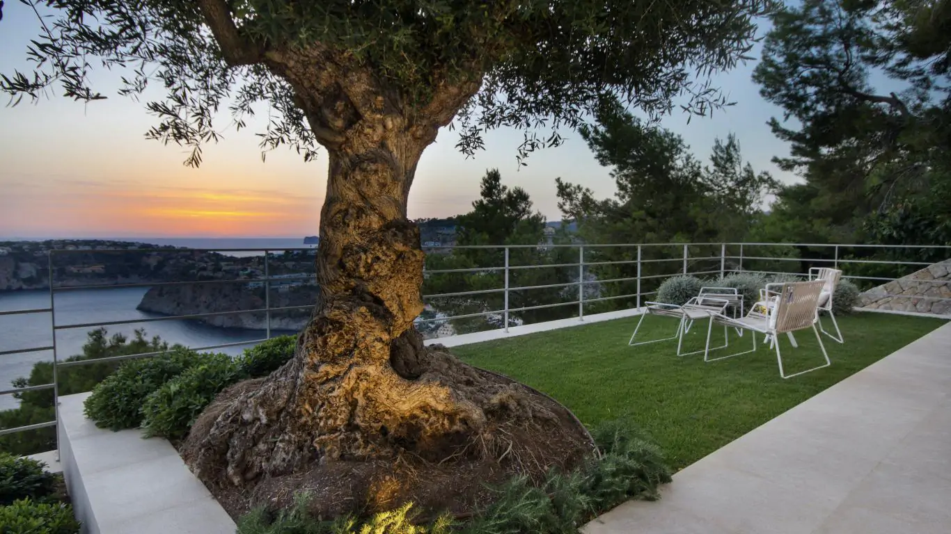 Villa Puesta Del Sol | Mallorca