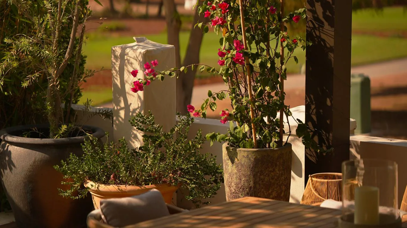 Villa Al Bustan | Dubai