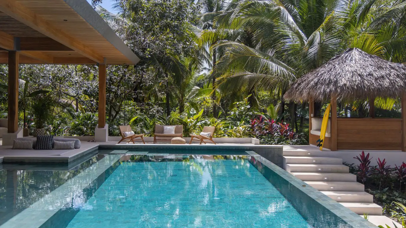 Pasha | Santa Teresa