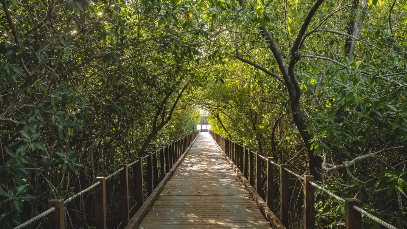 Hacienda Palancar | Tulum