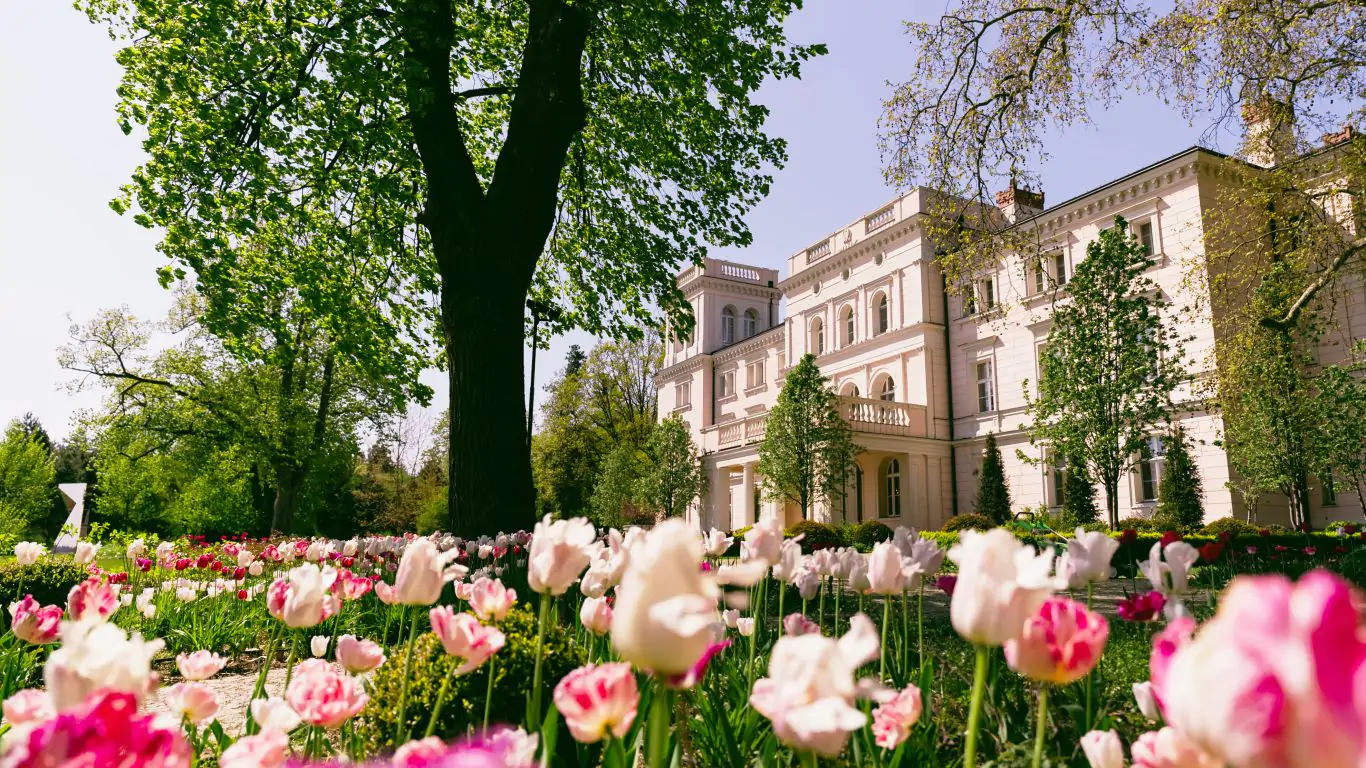 Sparrow Hills | Poland