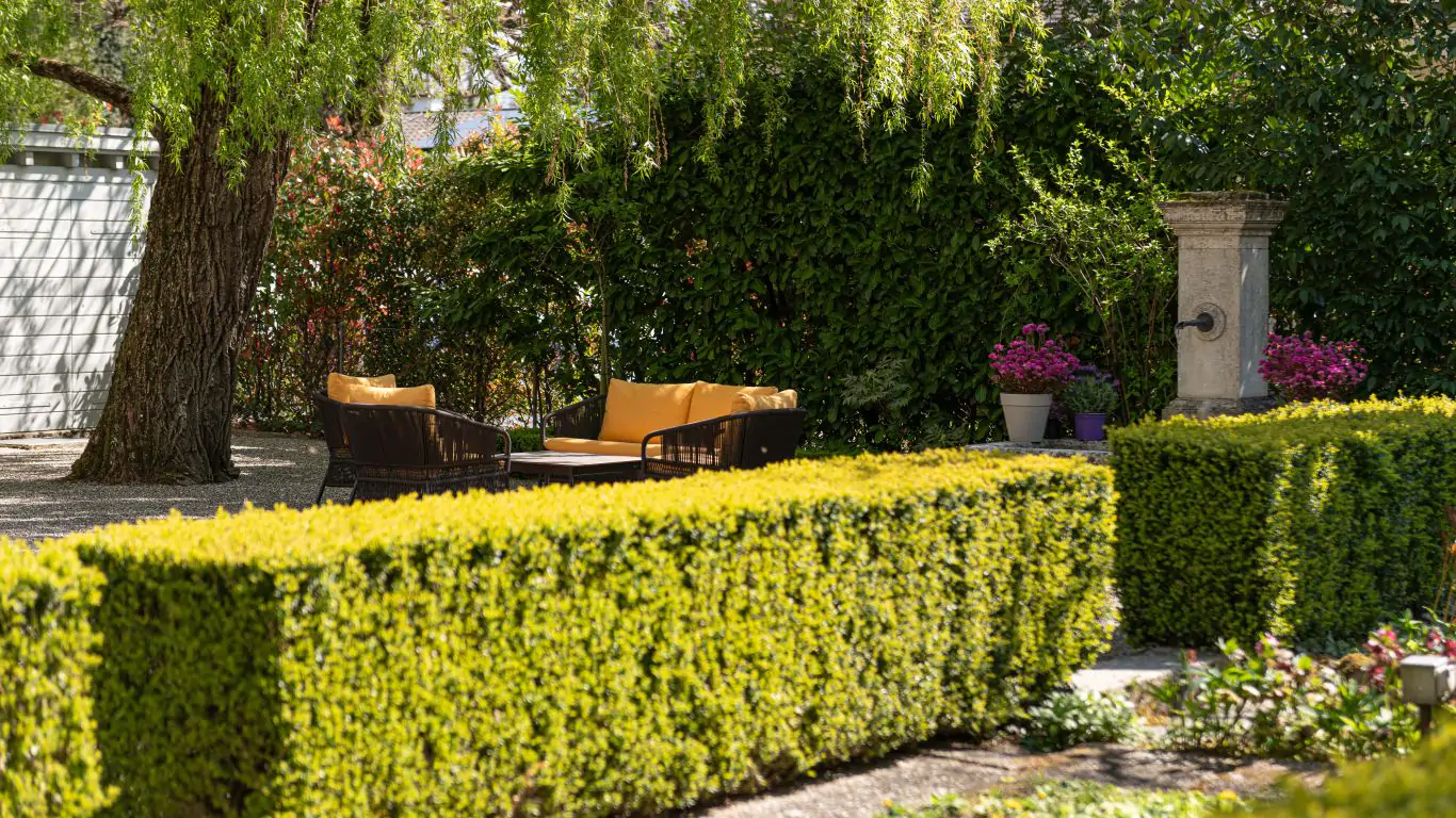 Villa Oasis | Geneva
