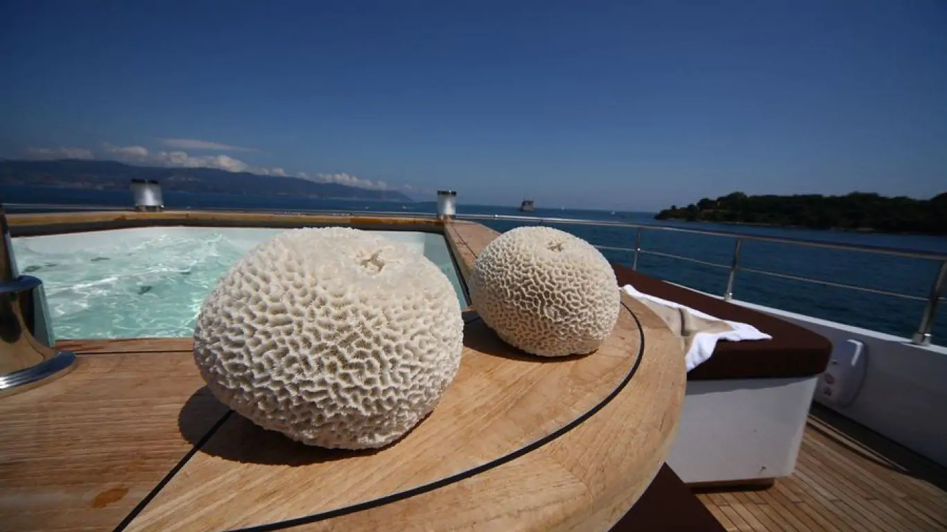 Yacht Zaliv III 163 | Yachts