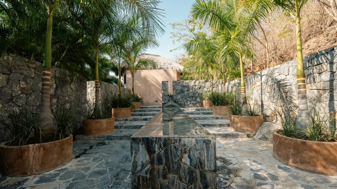 DOS Fiesta | Rest of Latin America