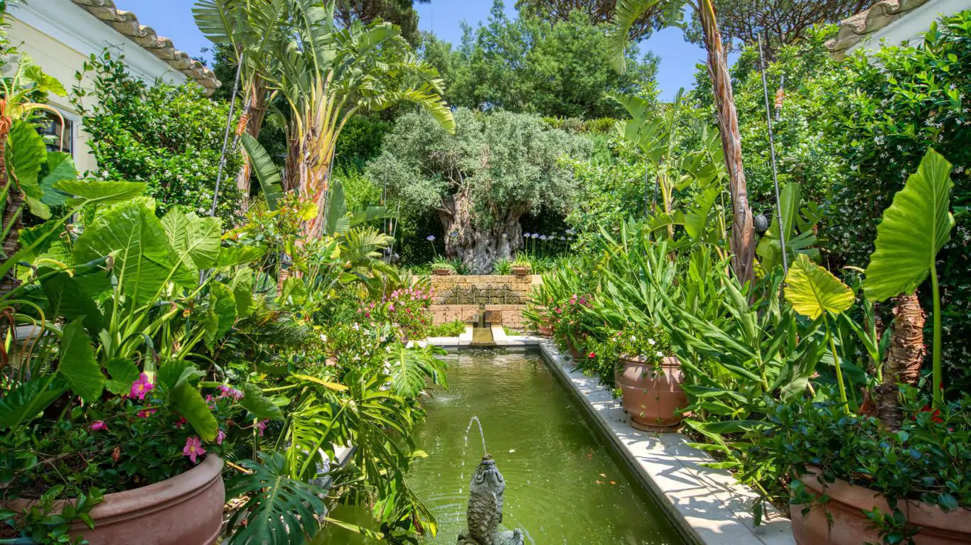 Villa Elodie | St-Tropez