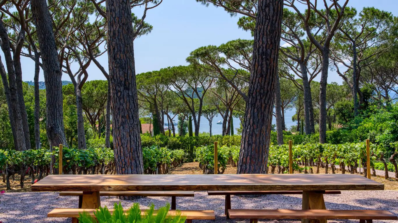 Villa Elodie | St-Tropez