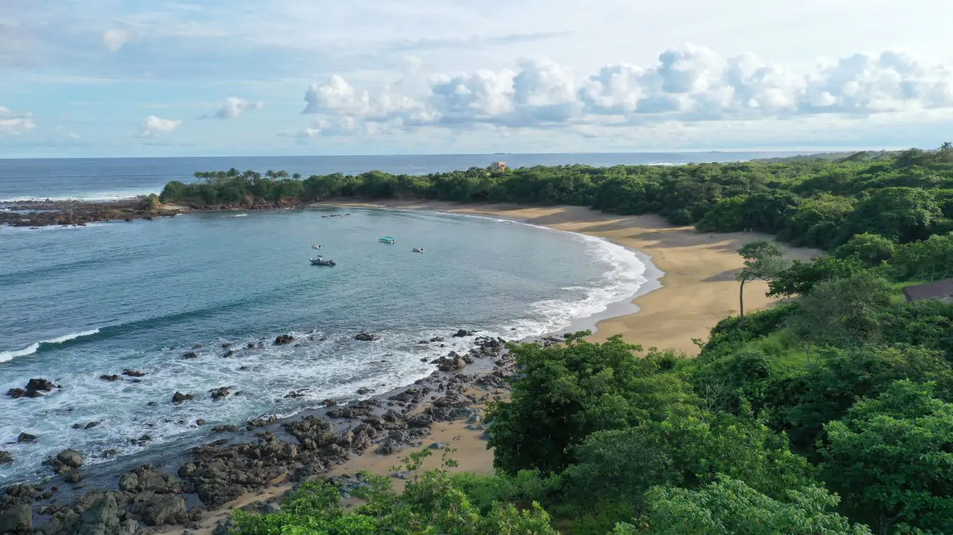 Casa Loro | Panama