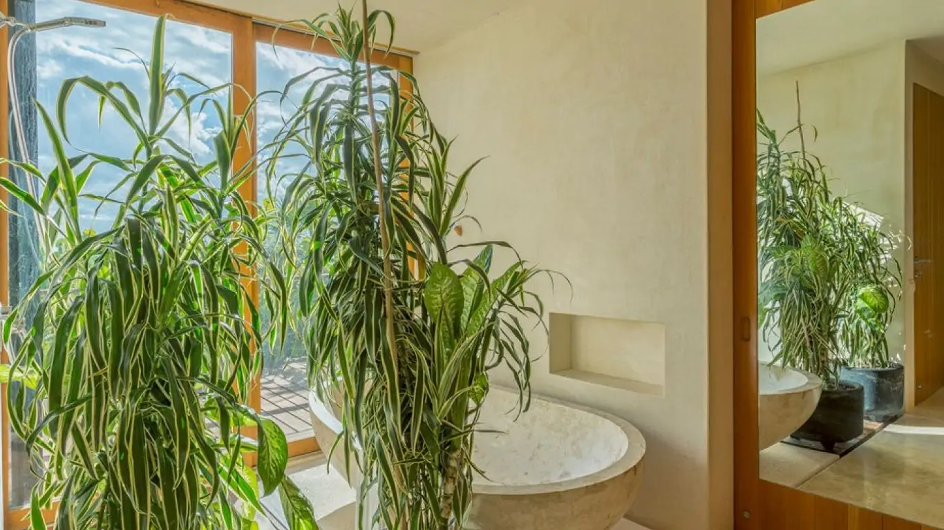 Villa Naiik | Tulum