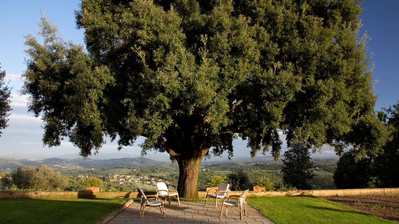 Villa La Tavernaccia | Tuscany