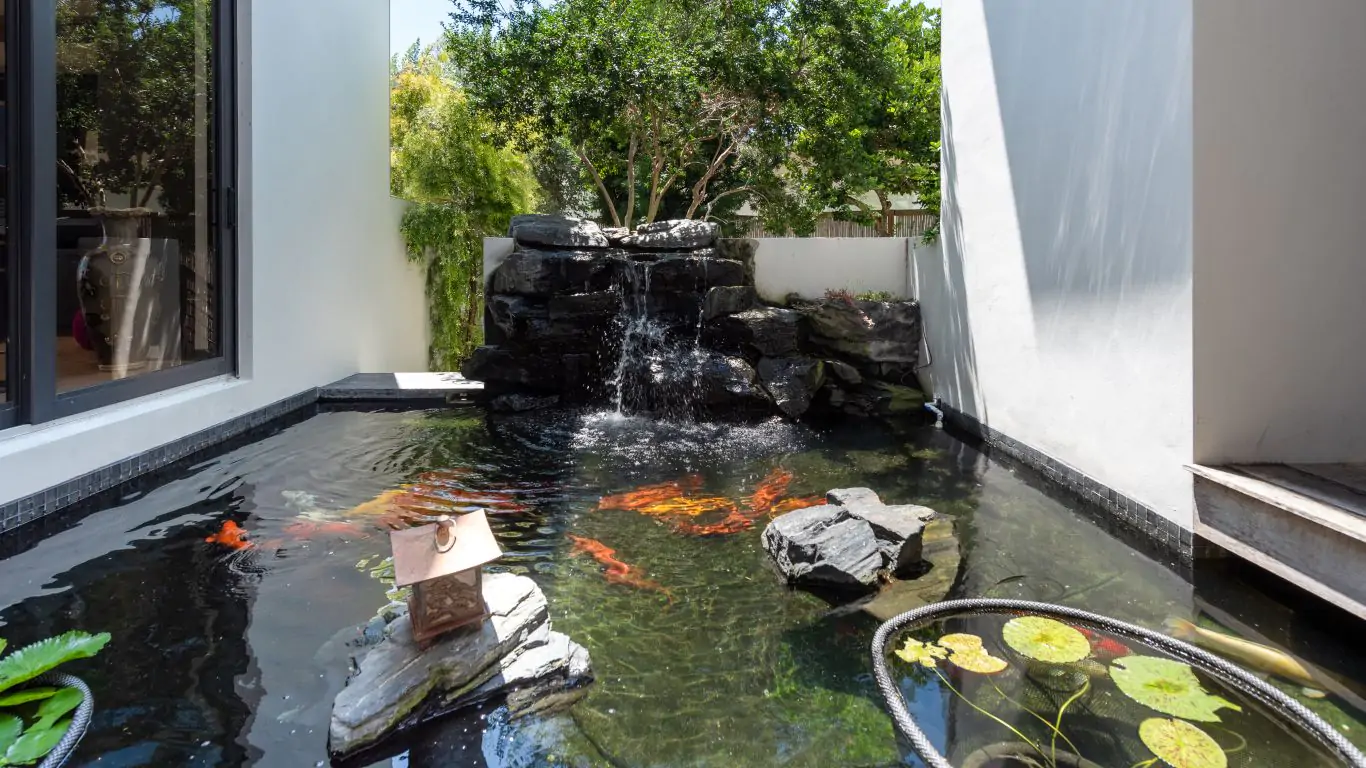 Villa Izzy | Miami