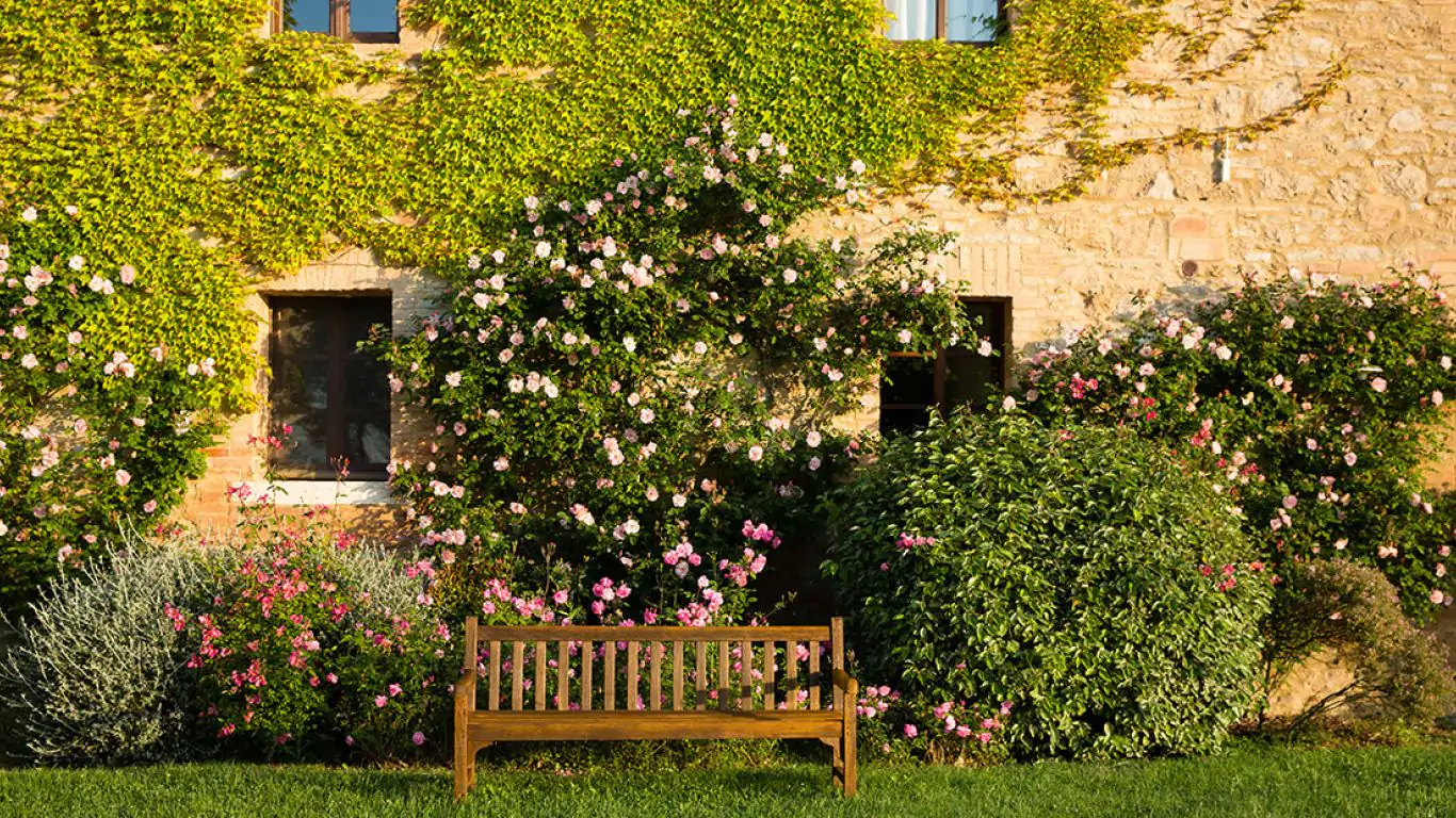 Borgo Finocchieto | Tuscany