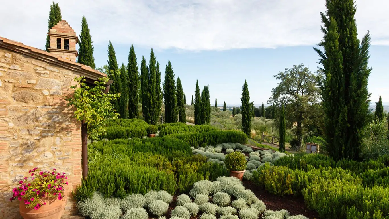 Borgo Finocchieto | Tuscany