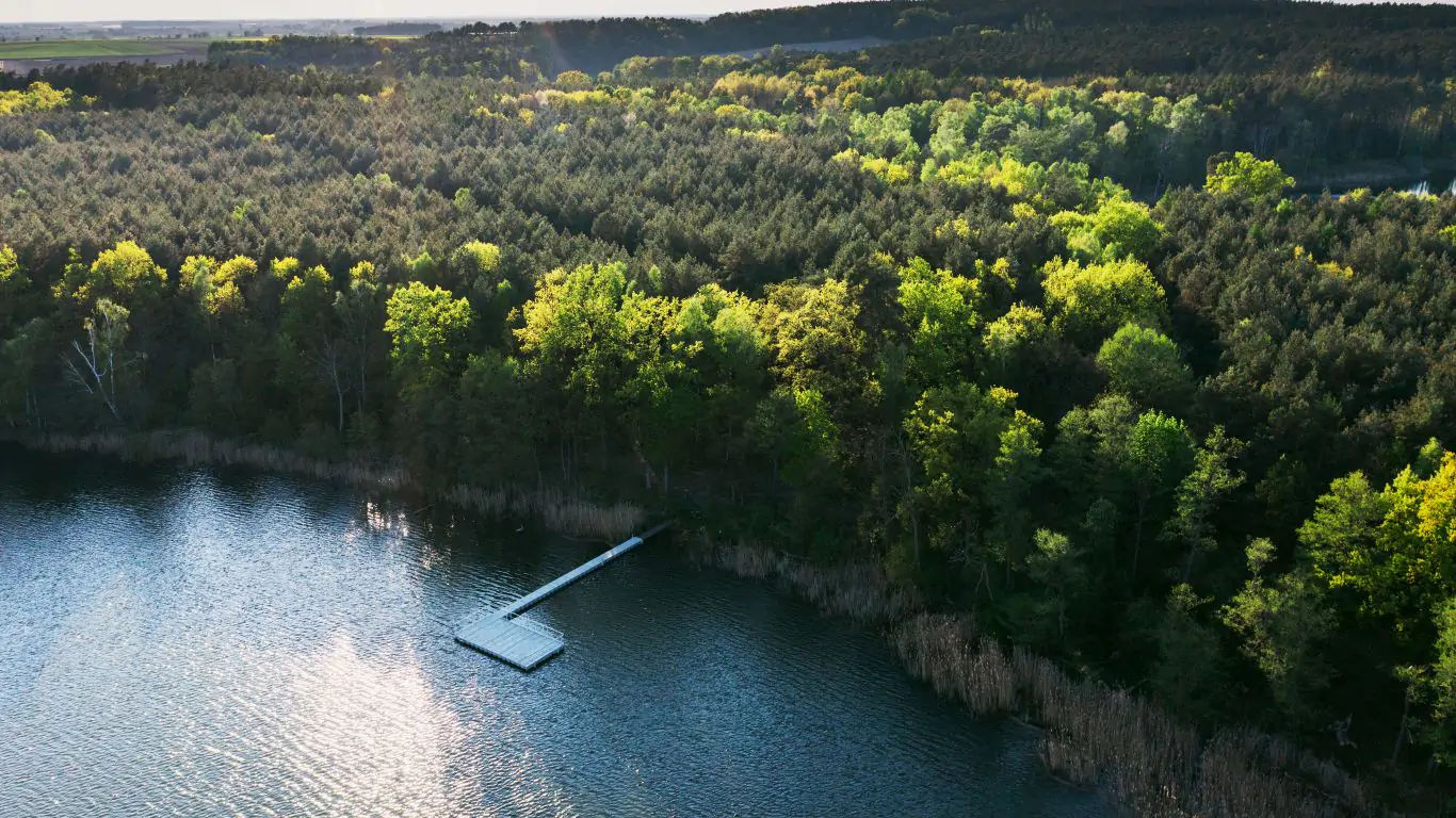 Sparrow Hills | Poland