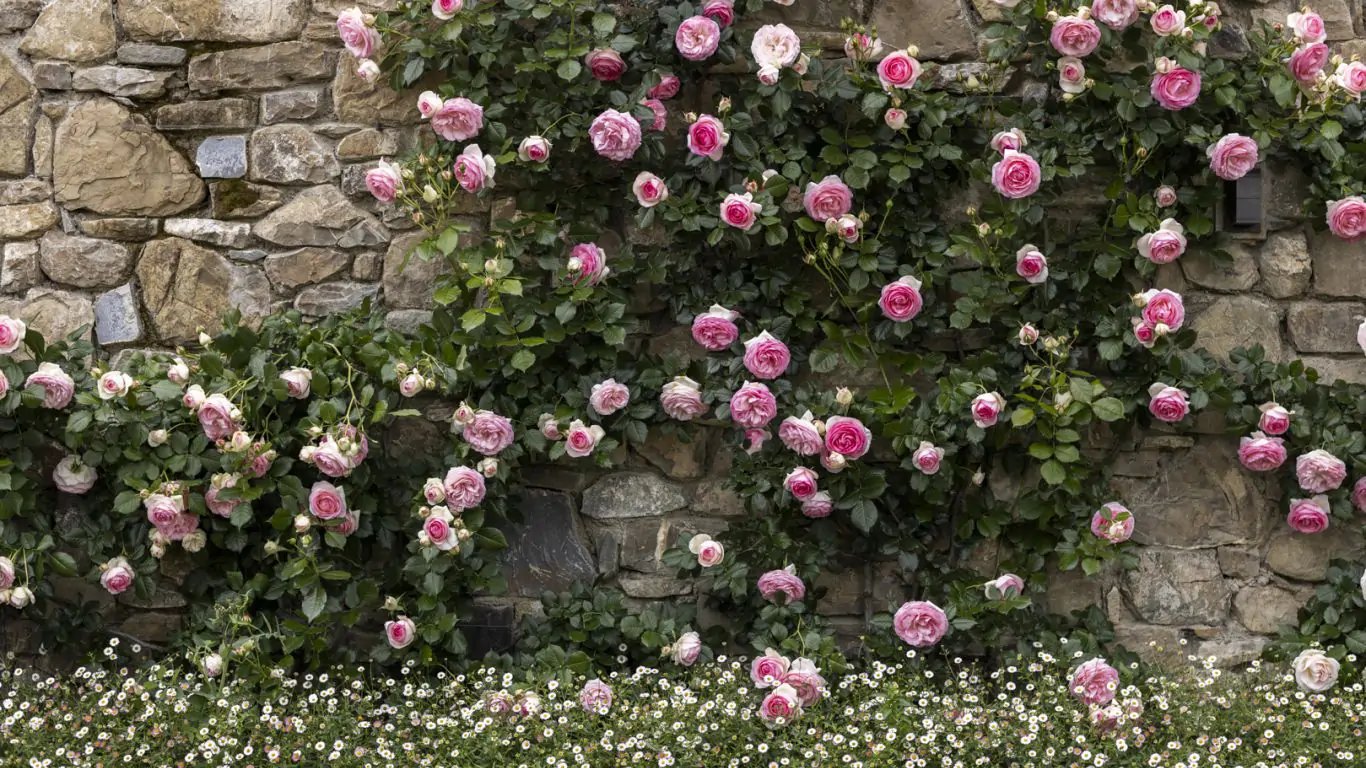 Dimora Ghirlandaio | Tuscany