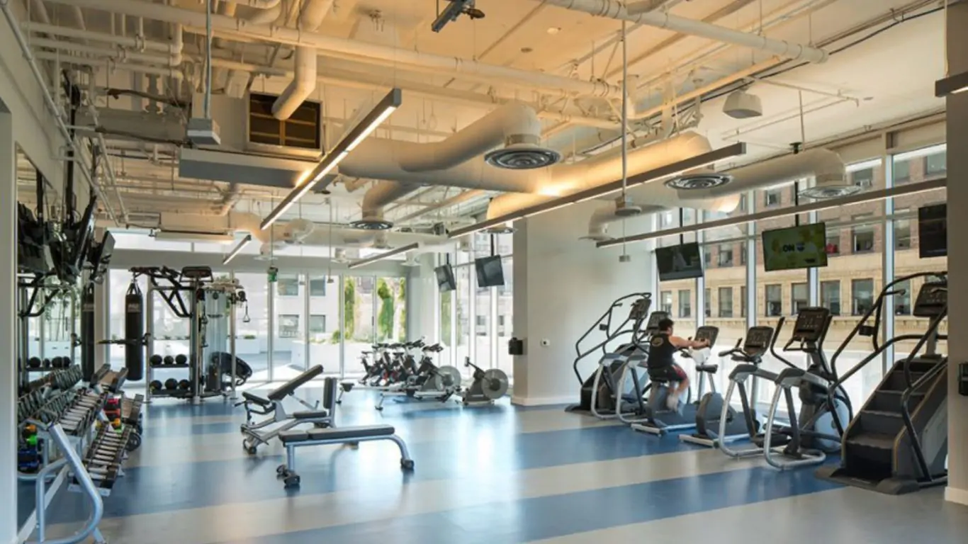 Penthouse Zeus | Los Angeles