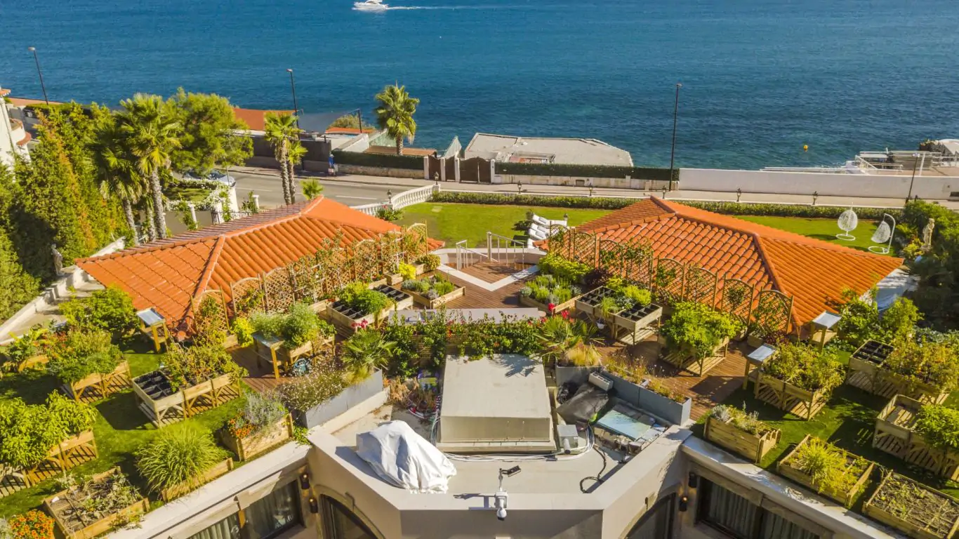 Villa Diane | Cannes